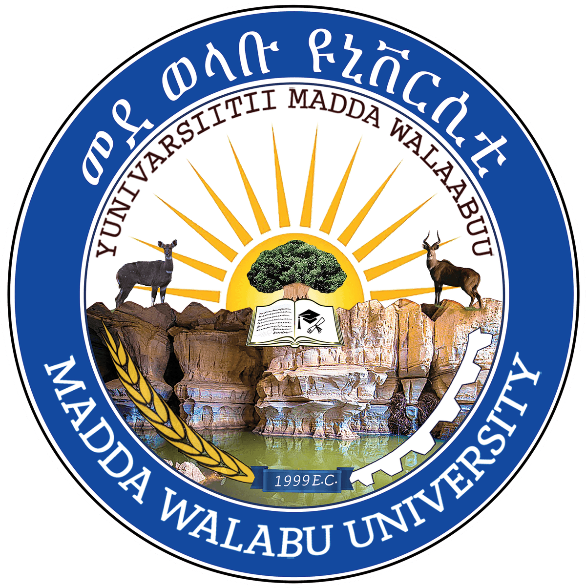 University Logo